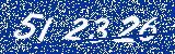 Capcha image